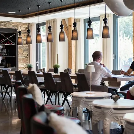 Eriks Hotel 4*